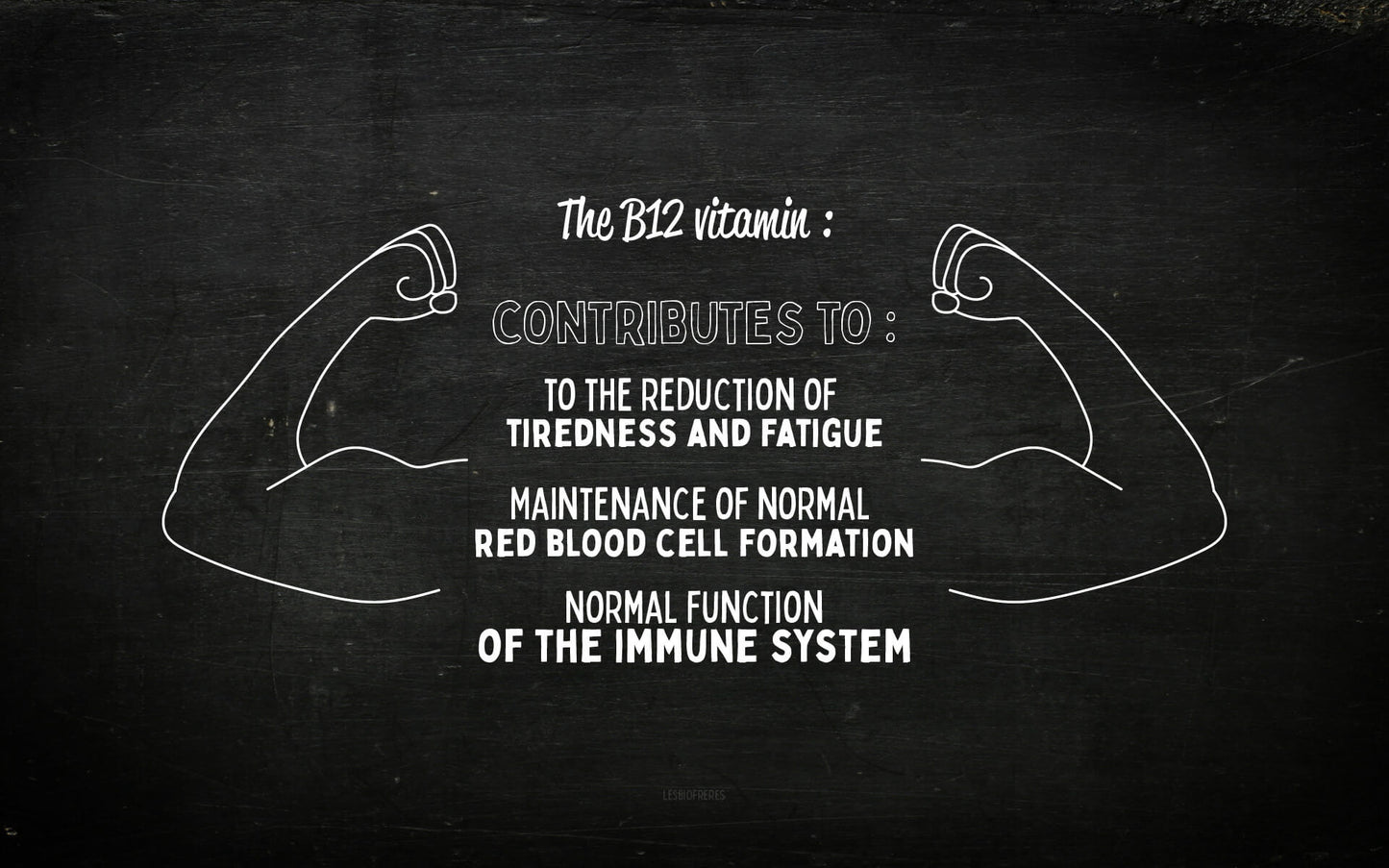 Betwelve, vegan Vitamin B12 of natural origin from the organic Bros
