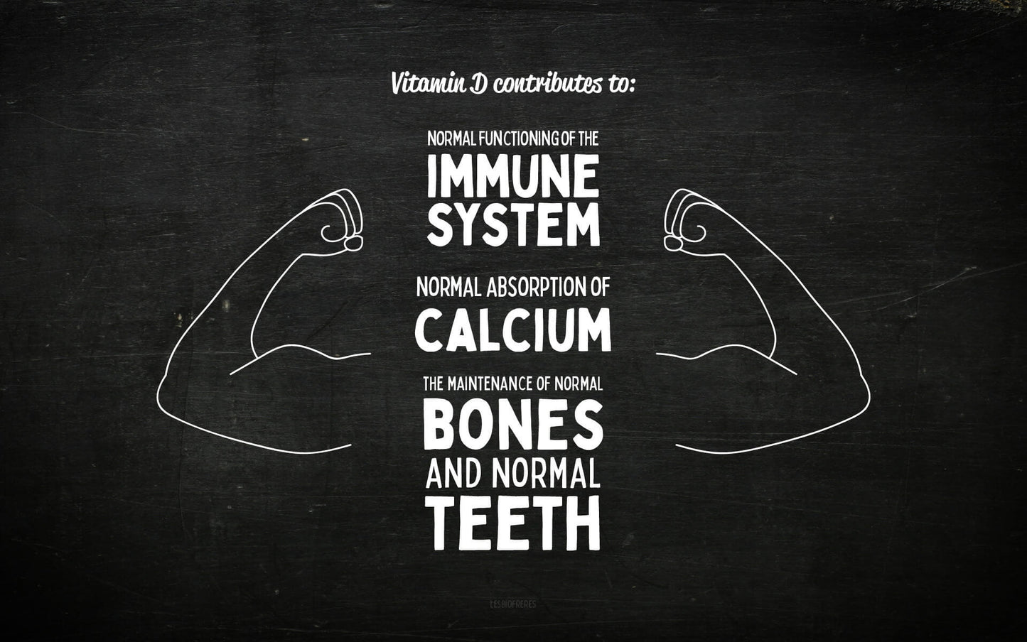 Dlightfull, vegan Vitamin D of natural origin from the organic Bros