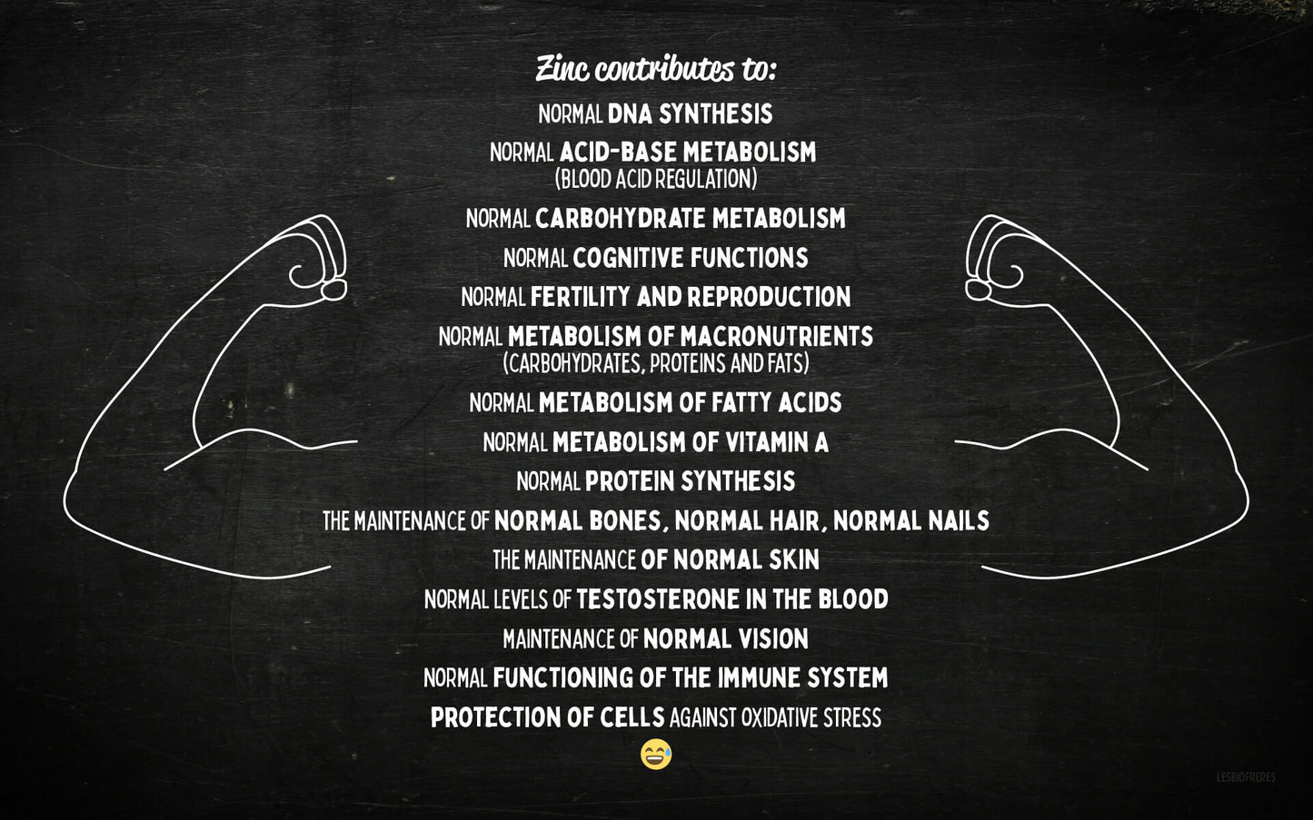 ZZZinc, Vegan Zinc of Natural Origin from the organic Bros
