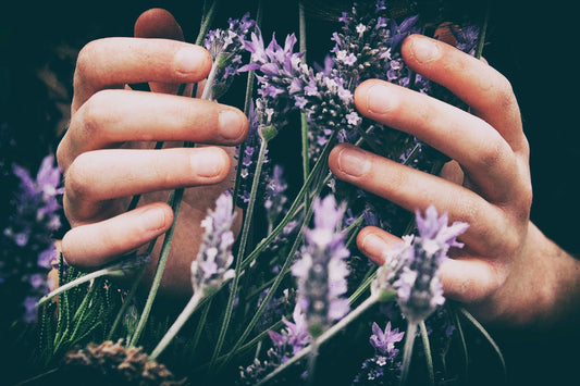 Essential Oils Proven to Offer Anxiety Relief