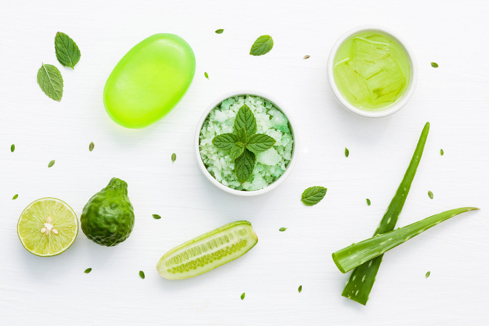 4 Ways to Boost Your Health and Beauty with Aloe Vera