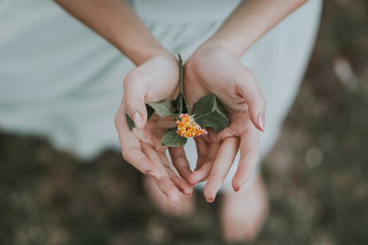 Benefits of Herbal Extracts for Women's Health