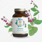 The Synergy Company PureNatal 120 tablets