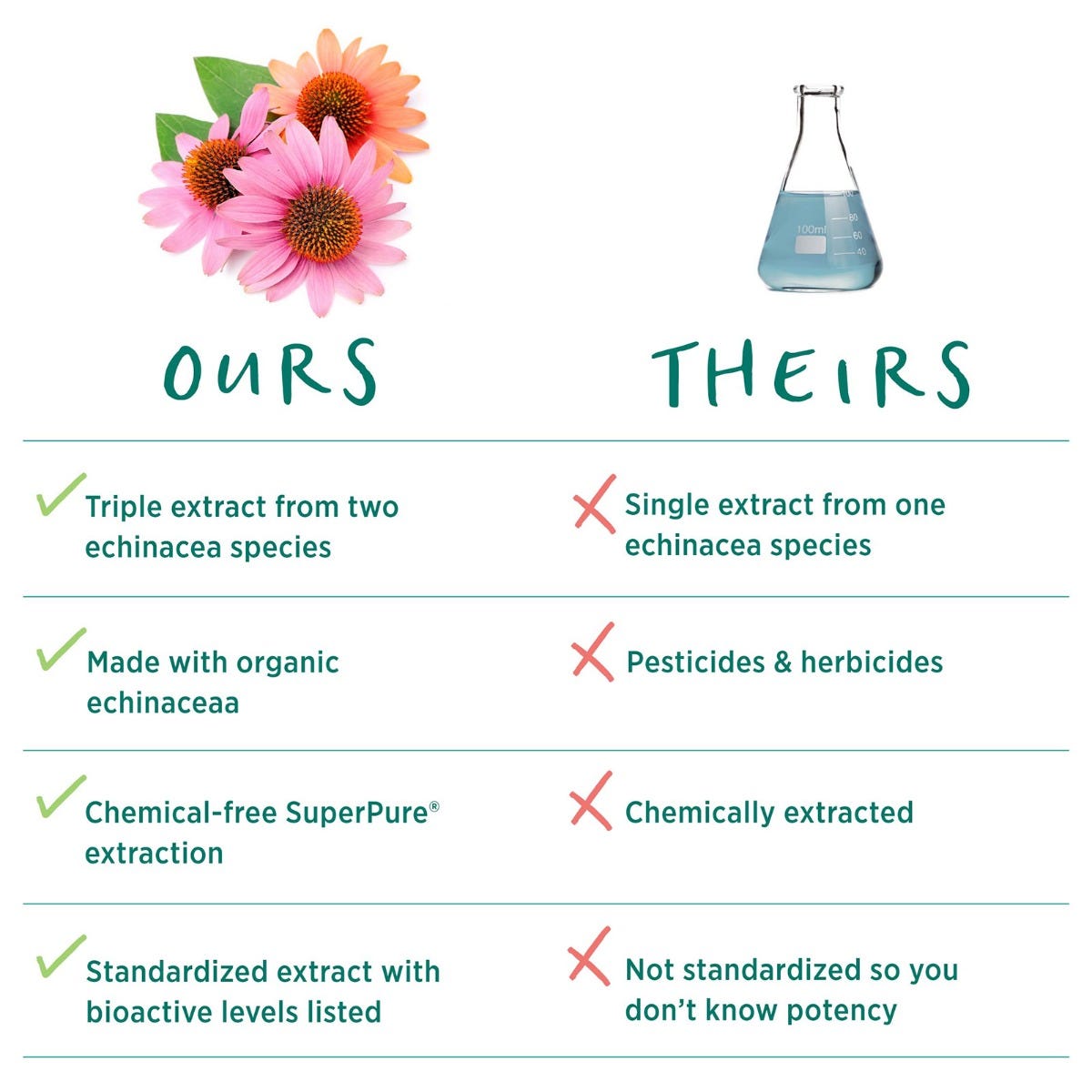 The Synergy Company SuperPure® Echinacea Extract