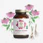 The Synergy Company SuperPure® Echinacea Extract
