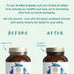 The Synergy Company PureNatal 120 tablets