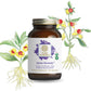 The Synergy Company Stress Remedy