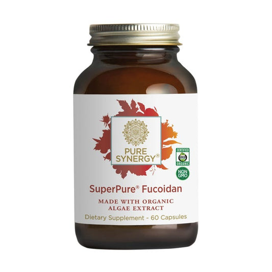 Synergy Company Superpure Fucoidan Extract 60 capsules