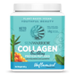 Sunwarrior Collagen Building Protein Peptides 500g - Natural