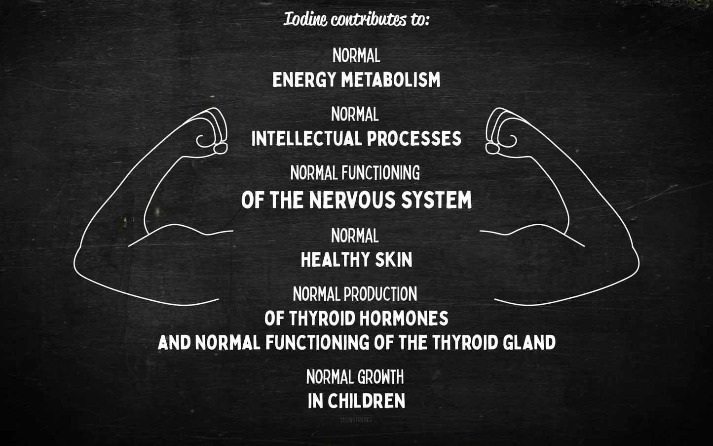 Ioda: Iodine as an organic food supplement from Bio Frères you will take